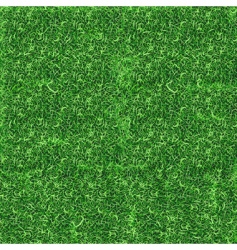 Lawn seamless vector image
