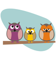 Funny owls family vector image