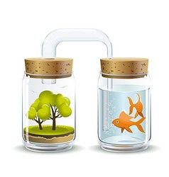 Oxygen for fish Oxygen for fish vector image