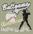 Ball game baseball vector image