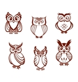Set of cartoon owls vector image