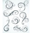 Floral elements vector image
