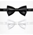 Black and white bow tie vector image