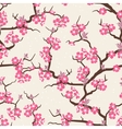 Cherry blossom seamless flowers pattern vector image