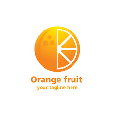 orange fruit logo vector image