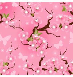 Cherry blossom seamless flowers pattern vector image