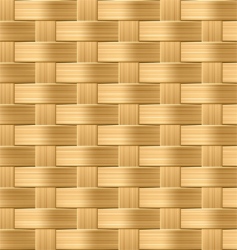 Seamless wicker pattern vector image