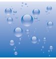 Water bubbles vector image