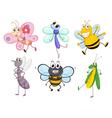 Flying insects vector image