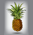 A pineapple isolated on a A pineapple isolated on a vector image