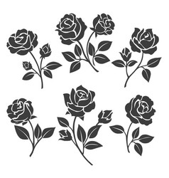 Rose silhouettes decorative set Rose silhouettes decorative set vector image