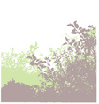 Plant life vector image