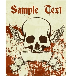 Skull Skull vector image