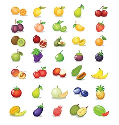 Mixed fruit vector image