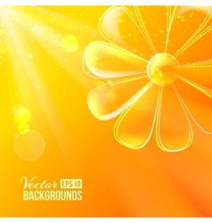 Abstract colorful glass flower vector image