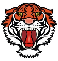 Tiger vector image