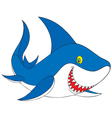 Shark Shark vector image