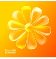 Abstract colorful glass flower vector image