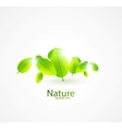 Abstract leaves background vector image