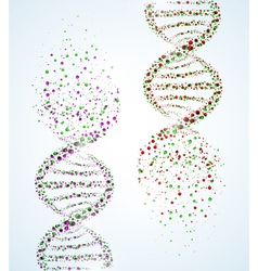 Dna structure destruction vector image