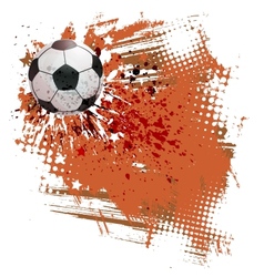 Soccer field vector image