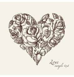 Vintage roses vector image