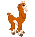 Llama vector image
