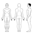 Naked standing man vector image