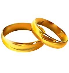Couple of gold wedding rings vector image