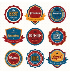 Set of retro vintage badges and labels vector image