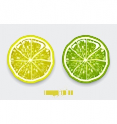 Lemon lime vector image