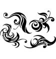 Floral design elements vector image