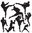 Muay Thai vector image
