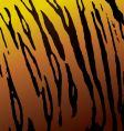 Tiger skin vector image