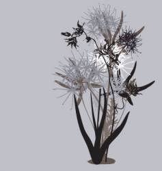 Spikey flower vector image