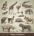 Wild animals vector image
