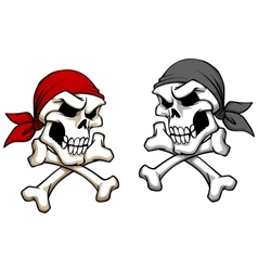 Danger pirate skull vector image