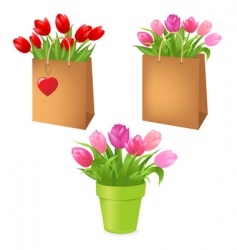 Floral bouquets vector image