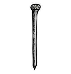 Nail vector image
