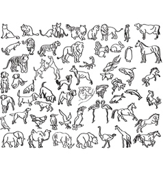 Sketches of animals vector image