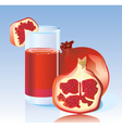 Fresh garnet juice vector image