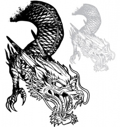 Dragon vector image