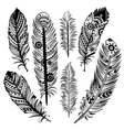 Set of ethnic feathers vector image