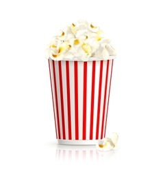 Popcorn vector image