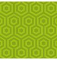 Hexagon pattern vector image