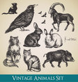 Vintage animals vector image