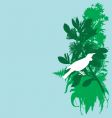 Tui and pohutukawa vector image