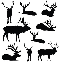 Elk Silhouette Deer Animal Digital Clip Art vector image