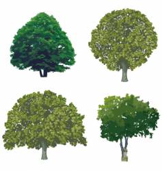 Trees vector image