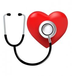 Stethoscope and heart vector image
